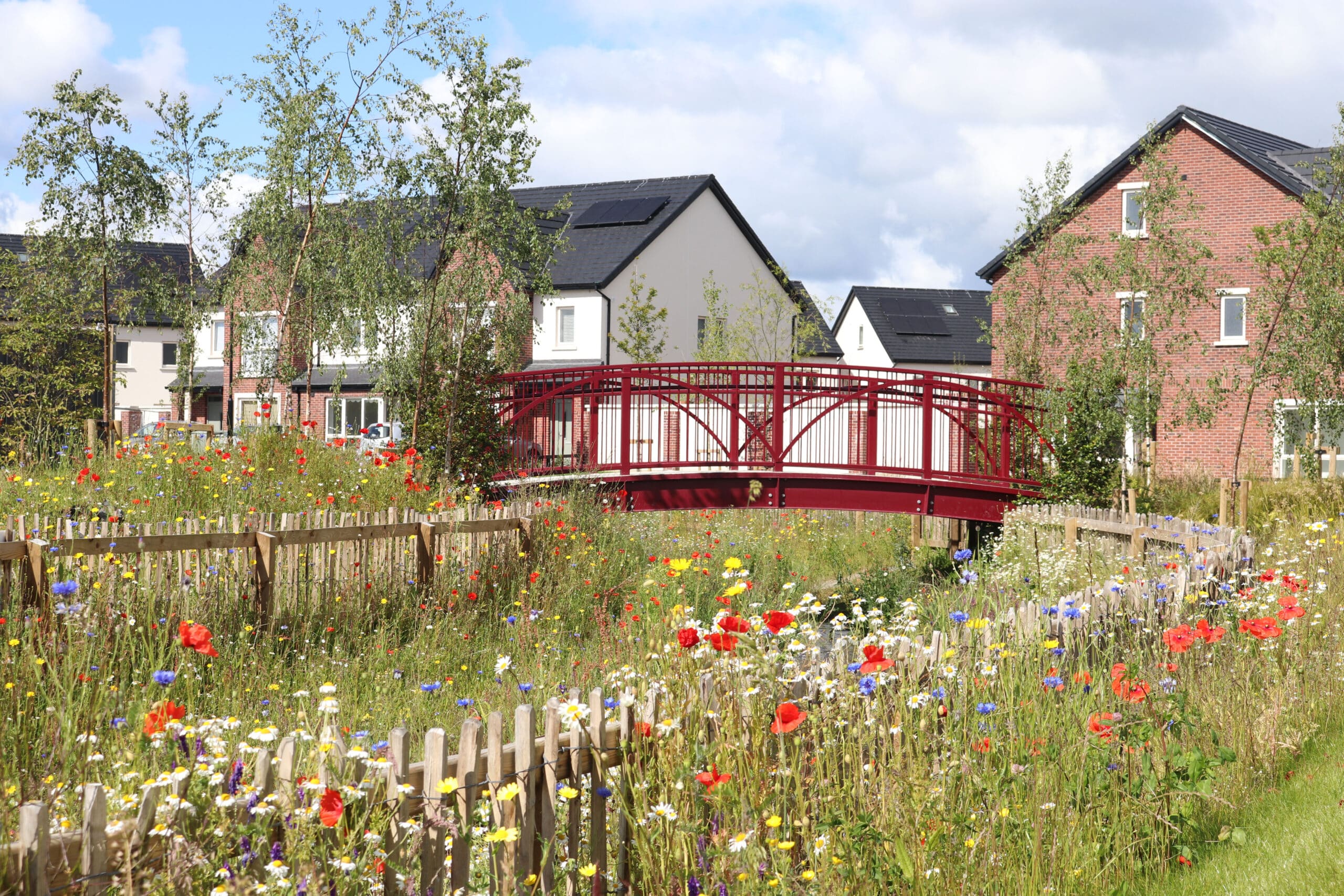 elsmore biodiversity bridge with wildflowers